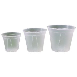 Plastic Plant Self Pot Transparent Watering 网红Garden