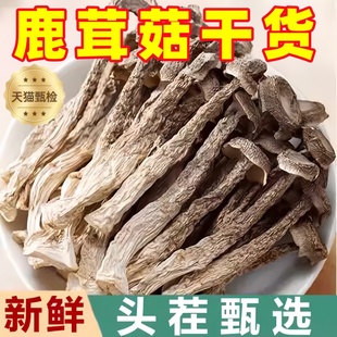 鹿茸菇干货头茬新货鹿茸菌脆脆菇食用菌新鲜煲汤食材官方旗舰店