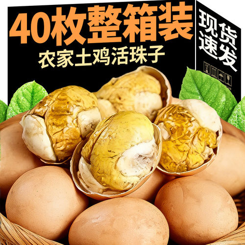 新鲜13天活珠子鸡胚胎官方旗舰店