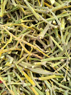 正宗枫树螃蟹脚云南深山原生态枫香树寄生茶枫木螃蟹脚纯天然