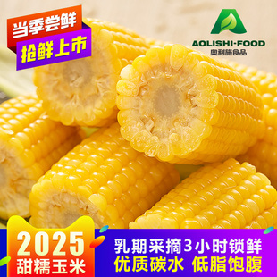 2025[软糯香甜颗粒多]奥利施619甜糯玉米黑土种植乳熟期真空鲜制