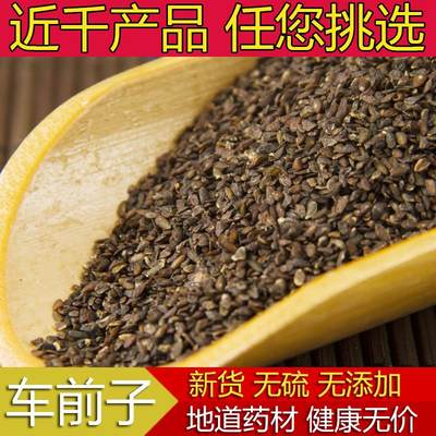 中药材正品新货野生车前子茶500g克 精选无硫车前籽种子粉 中草药