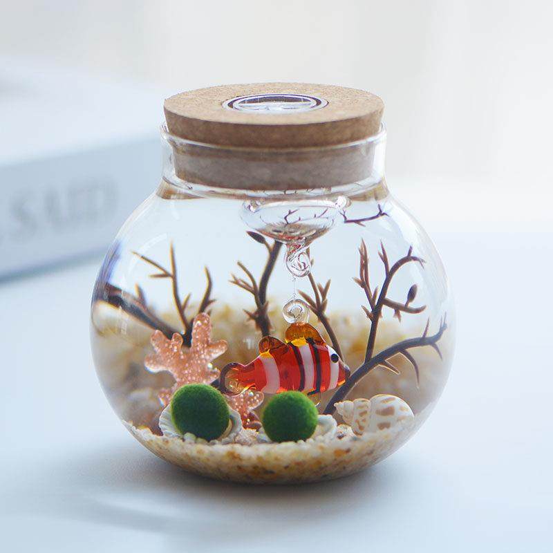 marimo幸福海藻球微景观生态瓶水培迷你小植物创意DIY礼物玻璃瓶