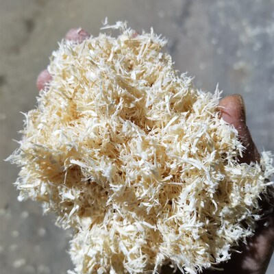 速发杨木刨花垫料g臭干燥仓鼠熊花枝鼠鸟巢鹦0兔10鹉0除箱装包邮