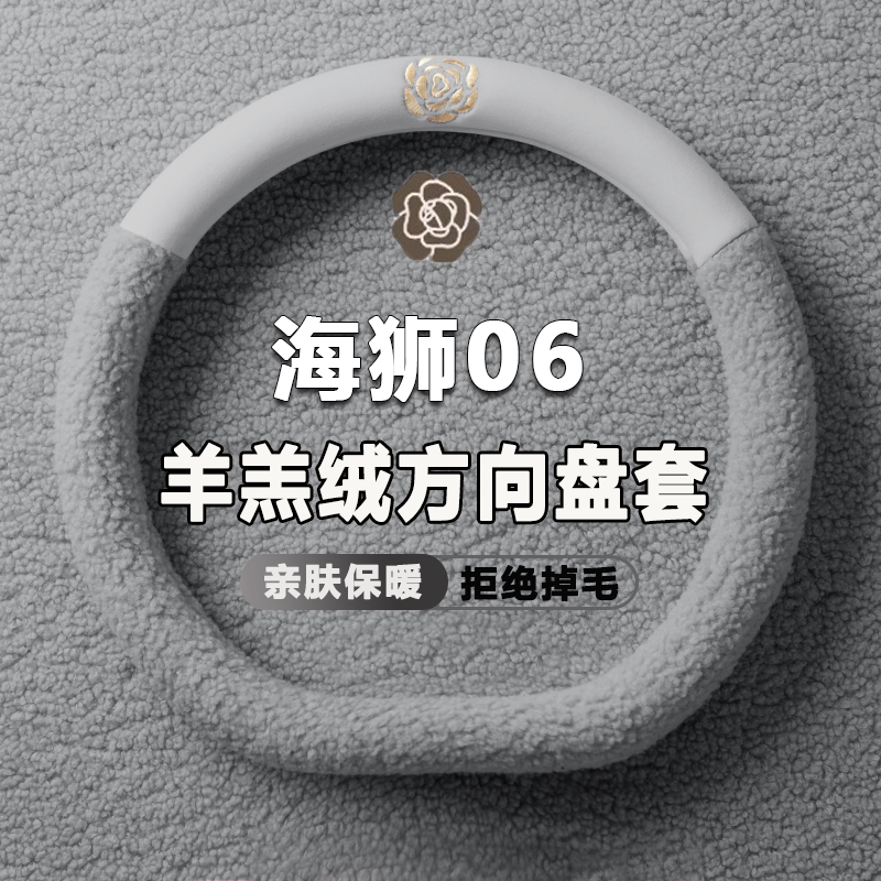 2025款比亚迪海狮06ev方向