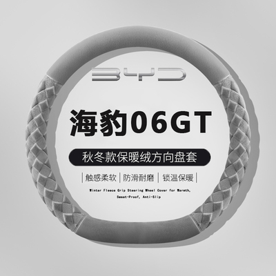 适用比亚迪海豹06EVDMIGT