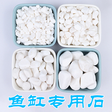 极速鱼缸石头子铺底鱼缸专用石造景石头底砂鱼缸白色鹅卵石鱼池小