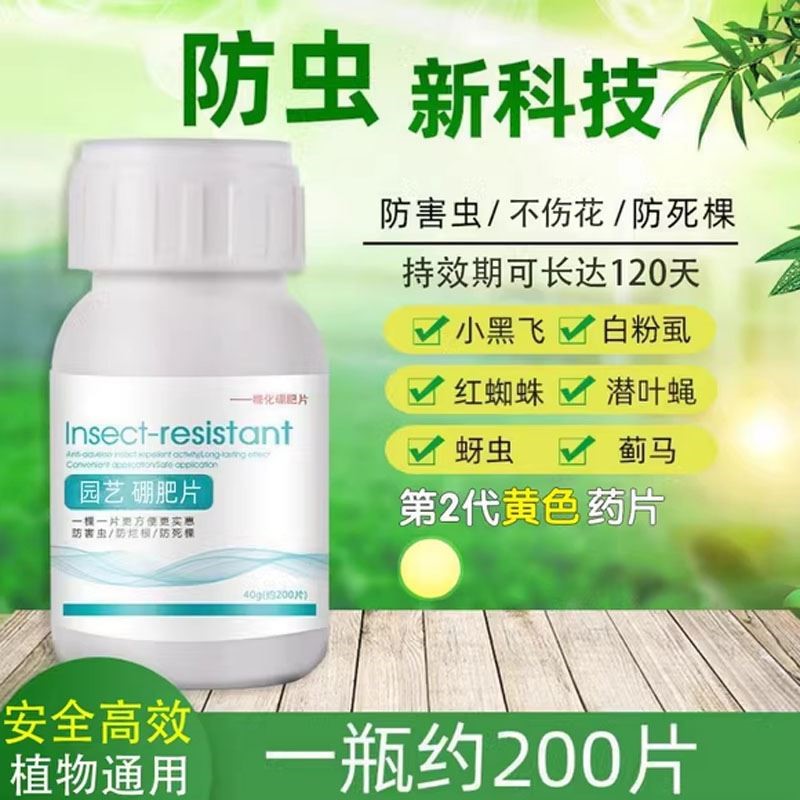 园艺绿植防虫片强效防小黑飞蚜虫粉虱菜蛾花卉绿植通用花盆驱虫片