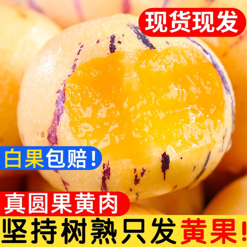 云南人参果水果当季现摘黄肉新鲜石林人叁果树上熟人生果圆果整箱