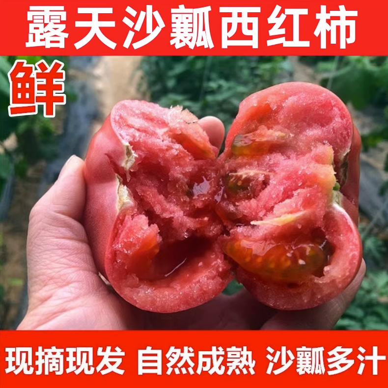 露天沙瓤番茄生吃西红柿新鲜沙瓤大番茄自然熟水果粉柿子农家现摘,水产肉类/新鲜蔬果/熟食,番茄,淘宝优惠券,粉丝福利购,淘宝优惠卷