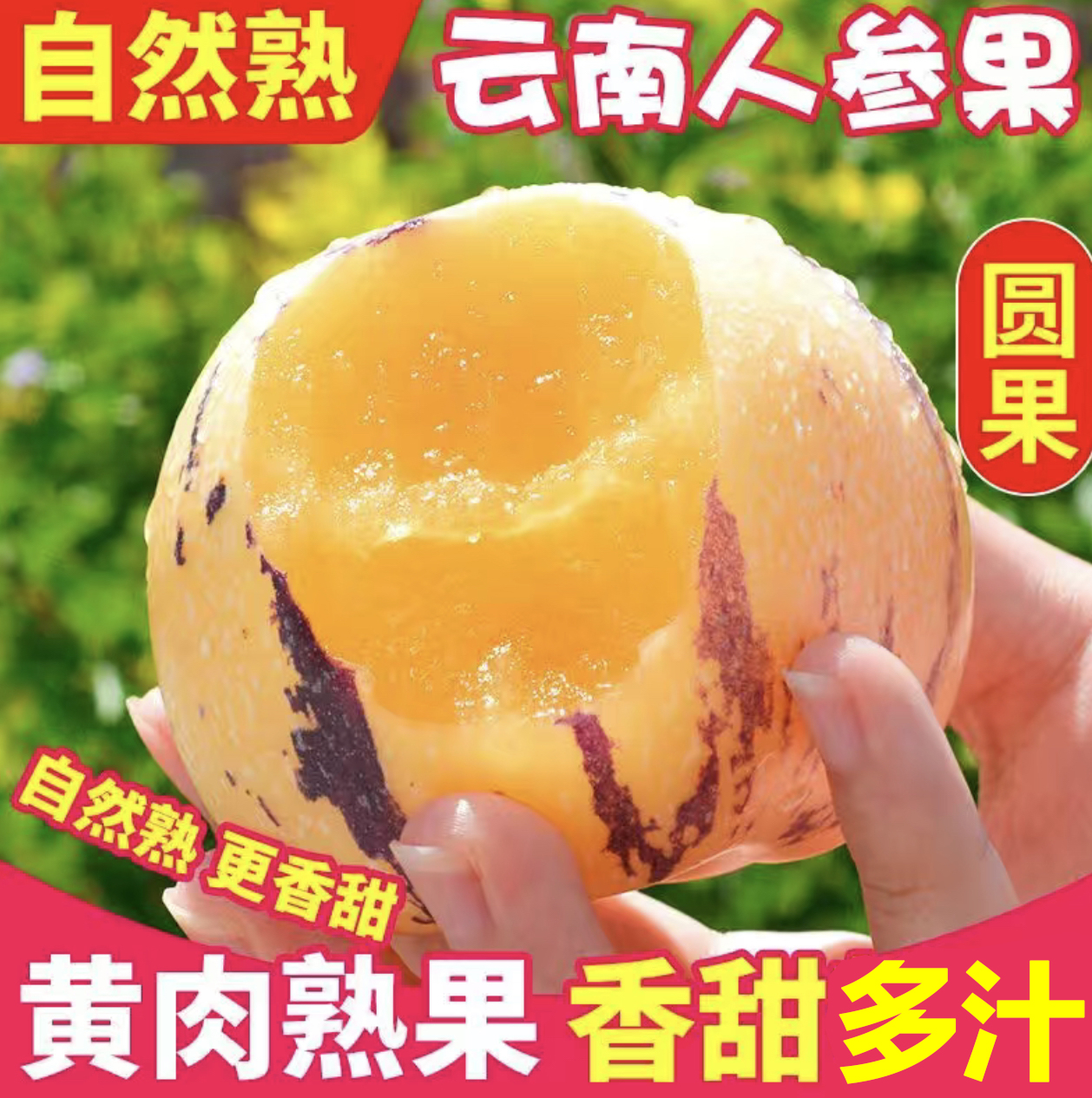 云南石林人参果10斤新鲜大果应季整箱人叁果水果七彩黄肉圆果包邮