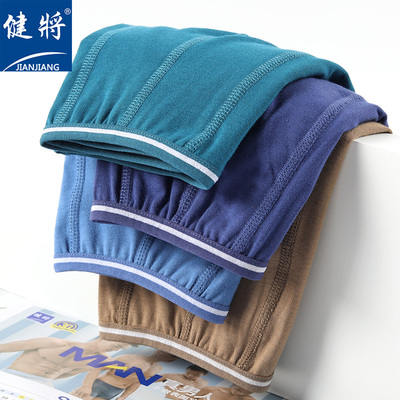 健将男士平角内裤弹力纯棉窄边