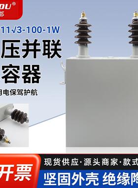 高压并联电容器BFM11√3-100-1W补偿电容器电力成套高低压电容器