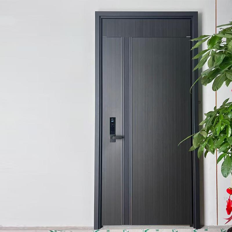 公寓轻奢隔音入户门家用甲级安全防盗子母门强隔音单开工程门