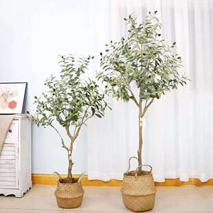 爆款仿真橄榄树室内装饰分装橄榄树仿真绿植盆栽一件