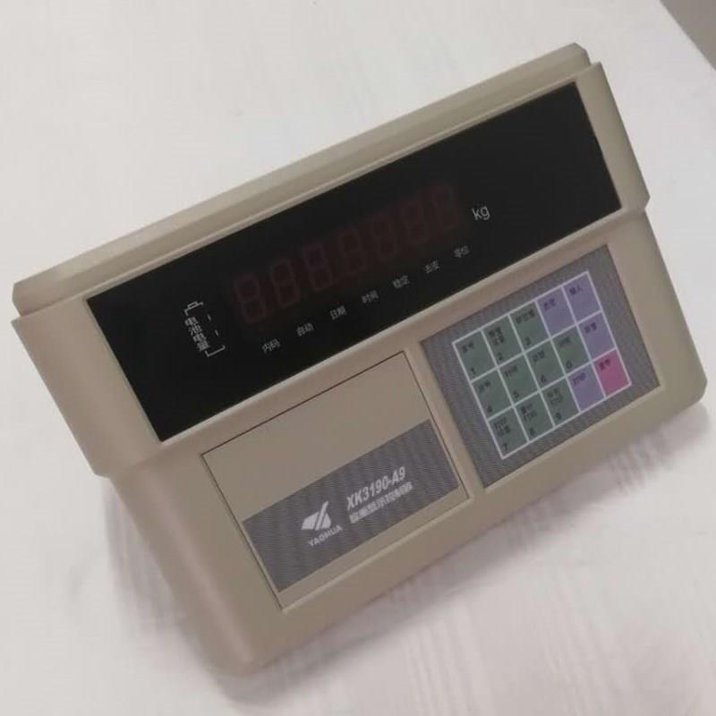 称重仪表XK3190-A9b4特征11版静态称重数字显示输入范围大发快递