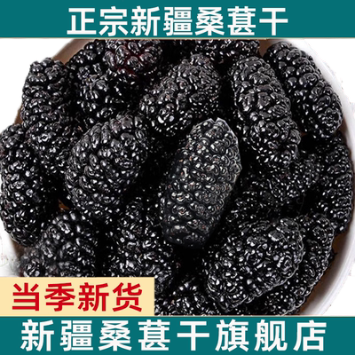 新货大果新疆桑葚干500g