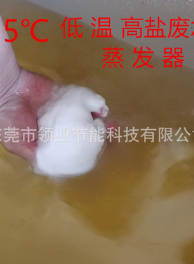 定制MVR母液 低温蒸发器 高盐废水蒸馏 干燥机    RO浓水蒸发设备