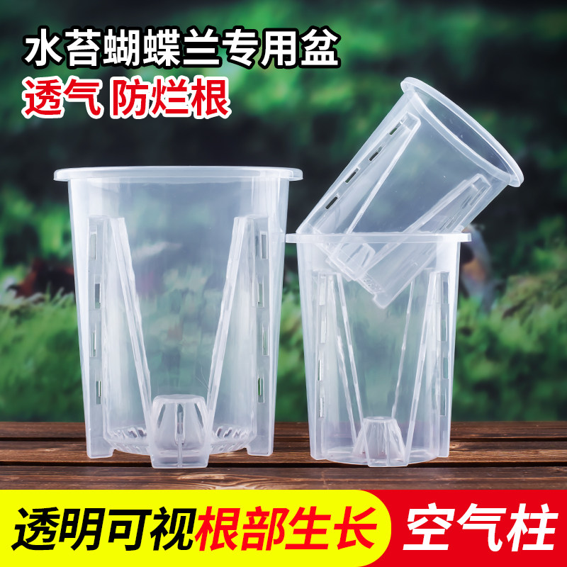 速发兰花水苔透根透明青山盆塑气盆控料杯带托盘营养钵蝴蝶兰专用