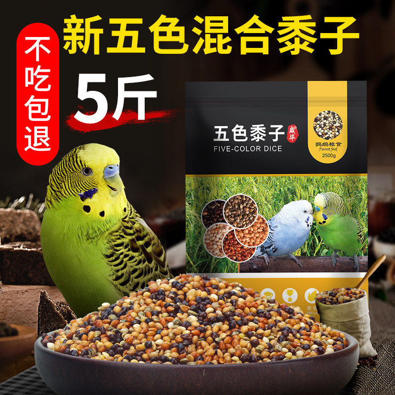 速发五色黍子谷子带壳5斤鸟粮鸟食混合粮食玄凤牡丹虎皮鹦鹉饲料