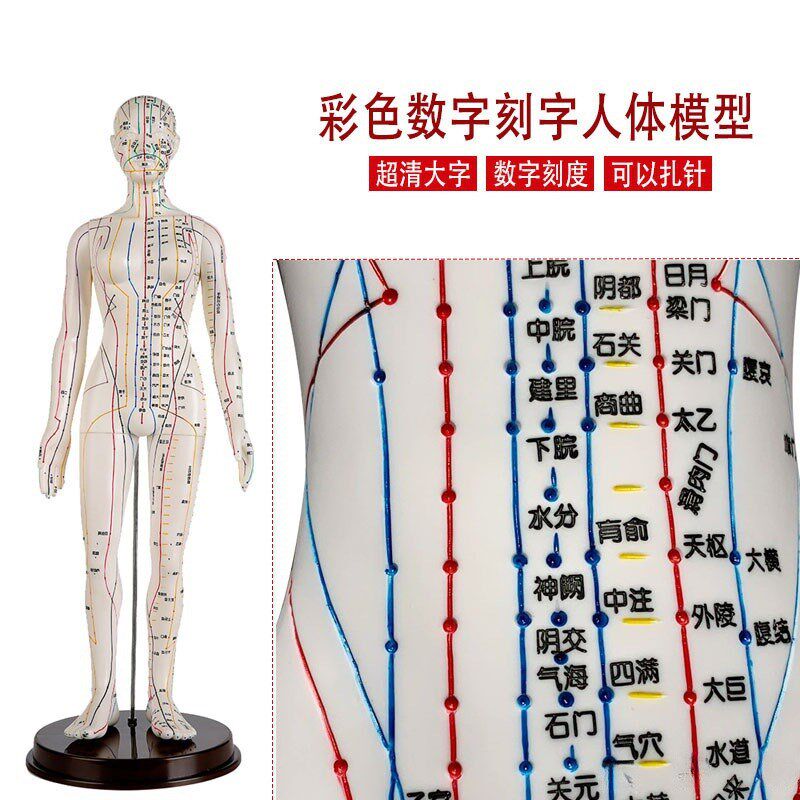 速发针炙铜人按摩中医小医皮学全身传统人体按摩穴经模型学校教学