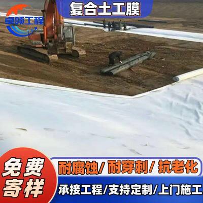复合土膜道护坡人工湖防渗强度白色800g两布VQE一河复膜工合土工
