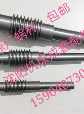 沈阳机床 刀架蜗杆蜗杆SLD90i04W  SLD17004W蜗杆 SLD150i04W刀架