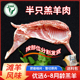 甘肃羊肉新鲜现杀半只羊甘肃羊羔肉整只土滩羊肉羊排羊腿年货礼盒