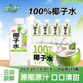 椰汁水饮料 椰子泡泡100%椰子水450ml 15瓶 含天然电解质夏日饮品