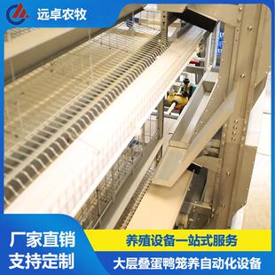 H型框架自动立体蛋鸭笼养 蛋鸭自动养殖 湖北仙桃6列8层叠蛋鸭笼