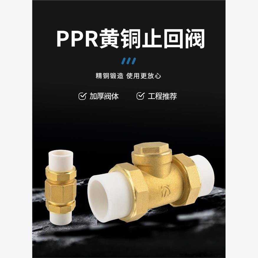 全铜水平止回阀单向阀工
