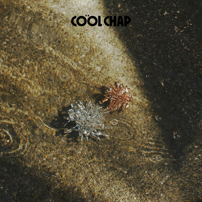 COOLCHAP吉赛尔系列扣扣鞋鞋花