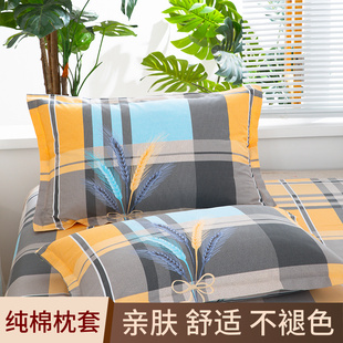 枕套纯棉家用一对装学生宿舍单人枕头套48x74全棉枕芯内胆套两只