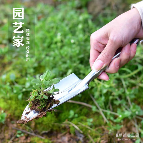 园艺小铲子耙子家用多肉盆栽养花种菜户外赶海不锈钢种花工具花铲
