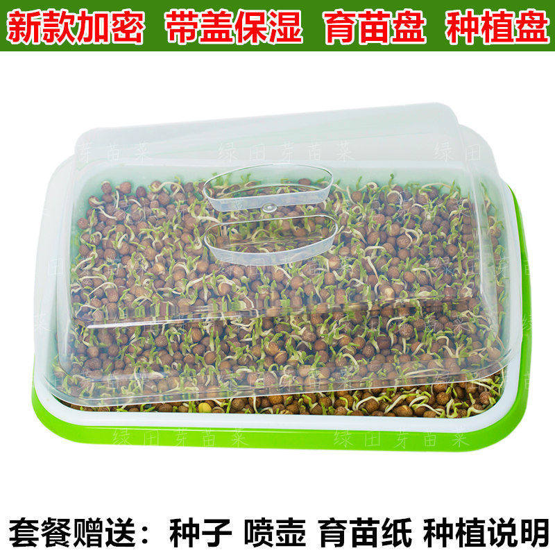 现货速发芽苗菜育苗盘台种菜盆水培蔬菜豆芽托盘麦种蒜苗豌豆种植