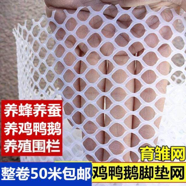 现货速发塑料网格塑料平网育雏养殖网格动物网鸡鸭脚垫塑胶网围栏