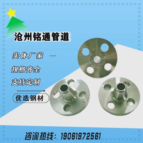 供应国标HG/T20592不锈钢31608带颈对焊法兰WN DN300PN40 RF突面
