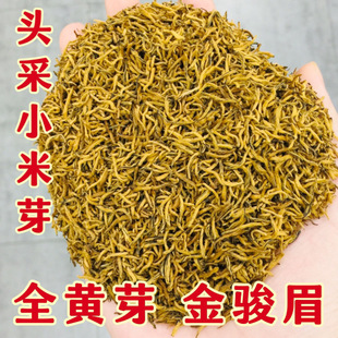 【米芽金骏眉】2026新茶武夷山金骏眉特级小嫩芽全黄芽蜜香浓香型