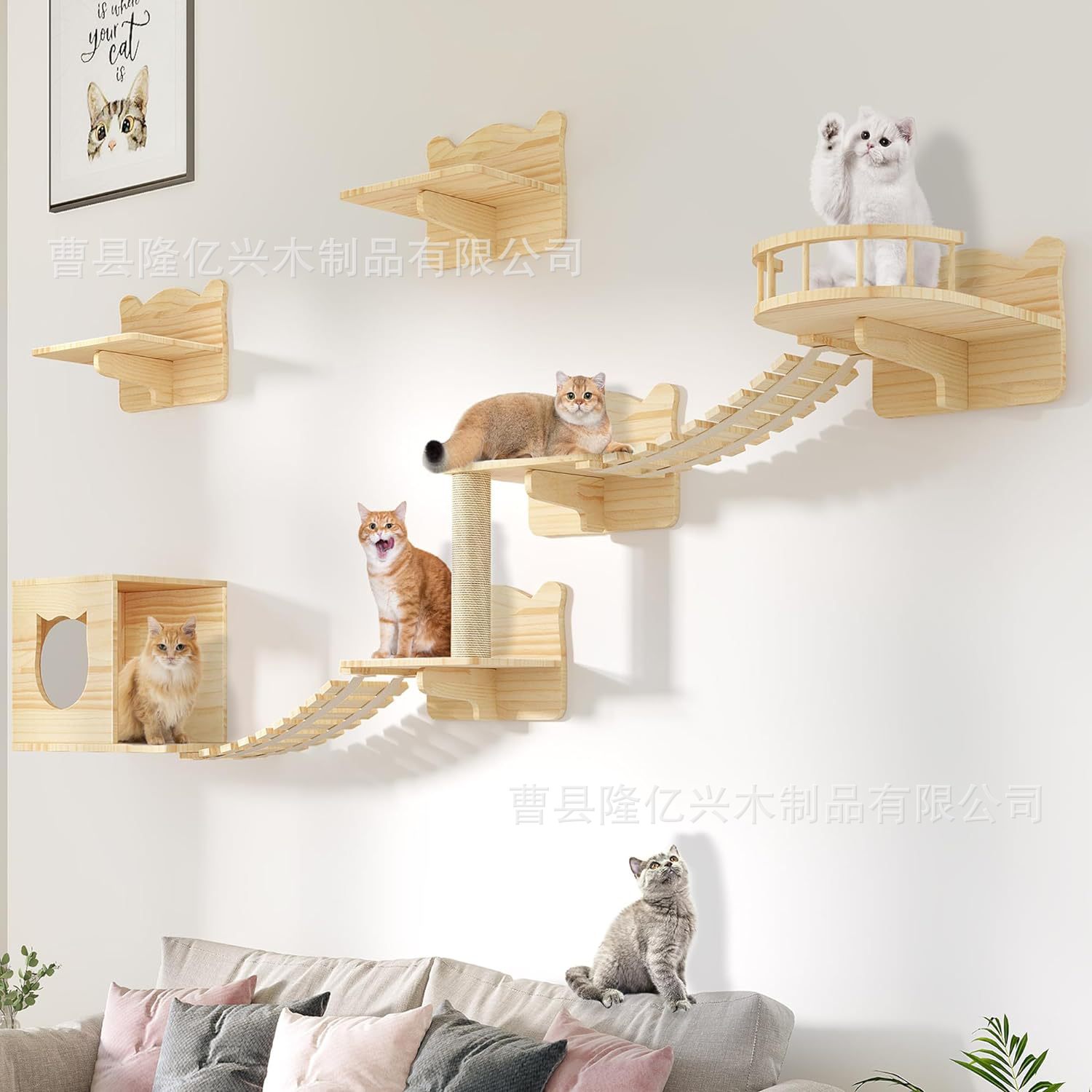 实木猫猫窝猫爬架墙壁式跳台跳板爬梯木质墙上猫家具猫爬墙