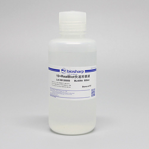 biosharp BL609A 10×RealBLot快速转膜液