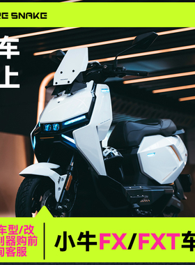 小牛FX/FXT尾灯前大灯行车灯转向灯氛围灯火蛇炫彩可调改装配件