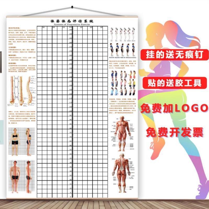 体态评估表墙纸贴式体测健身房瑜伽馆私教身体形姿矫正网格对比图