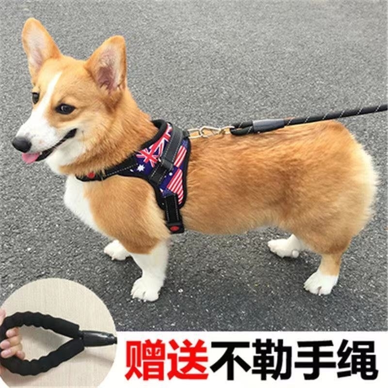 极速狗狗b胸抱婴袋牵引绳背心式抱婴袋防爆冲中型犬宠物用品柴犬