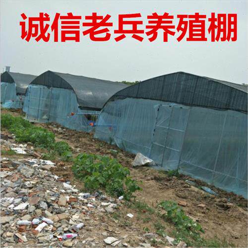 极速大棚骨架钢管全套温室养殖种植蔬菜花卉棚农业连体.栋椭圆支