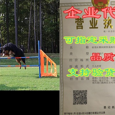 极速Lord Anson Dog Agility Jump Set - Canine AgSility Traini