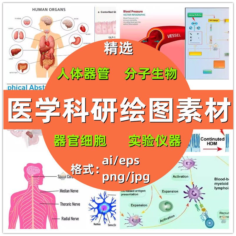 医学科研绘图素材生物ai分子细胞通路流程图科研作图生物器官插图