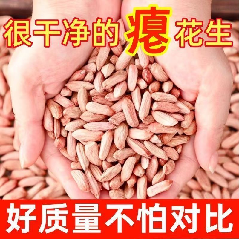 瘪花生新货小粒瘪子花生仁