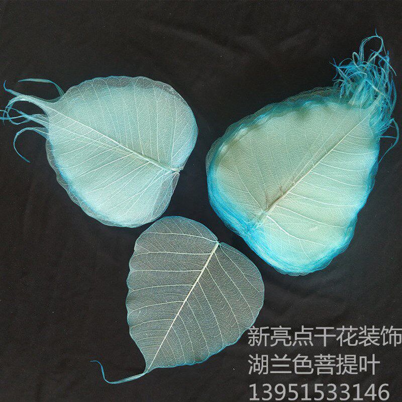 速发真树叶加工菩提叶脉装饰叶子叶脉干树叶手工贴花装饰画滤茶摆