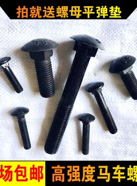 速发8.88高强度马车螺栓 半圆头方颈螺丝 2黑桥架马车栓M级M10M1
