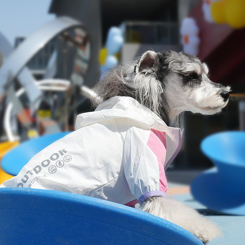速发夏衣穿雨两用外晴服泰迪雪纳瑞中小型犬撞色反光季服